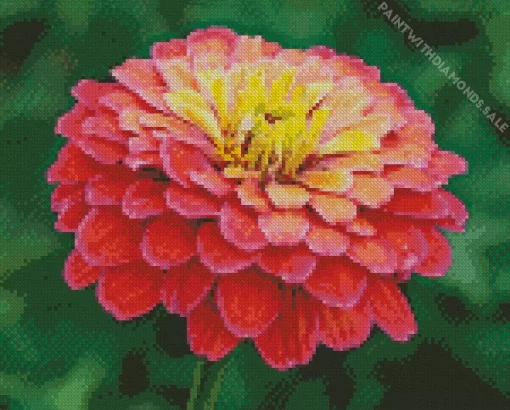 Common Zinnia Diamond Painting