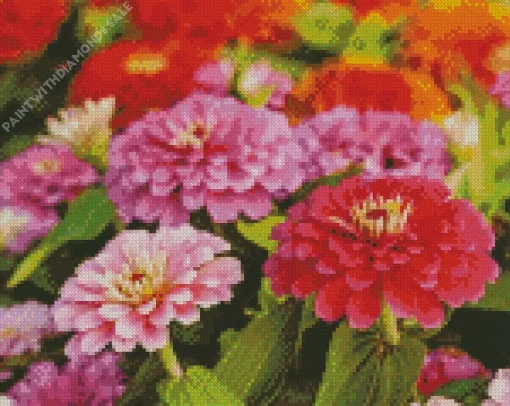 Common Zinnia Flowers Diamond Painting