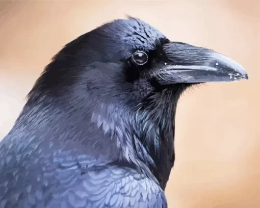 Common Raven Close Up Diamond Painting