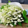 Convallaria Majalis Bouquet Diamond Painting