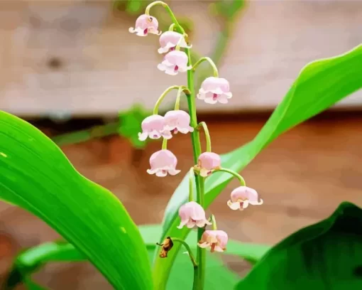 Convallaria Majalis Flower Diamond Painting