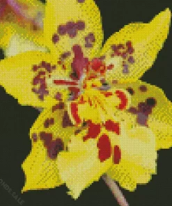 Dancing Lady Orchid Diamond Painting