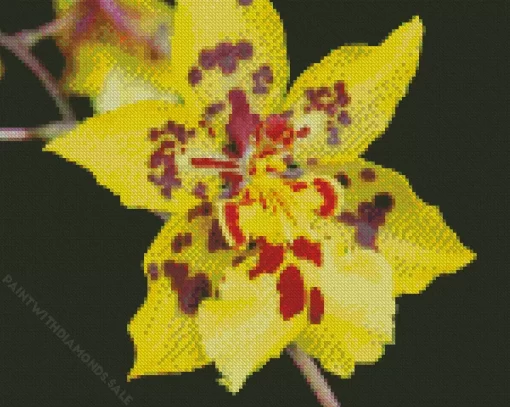 Dancing Lady Orchid Diamond Painting