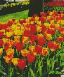 Darwin Hybrid Tulip Flowers Diamond Painting