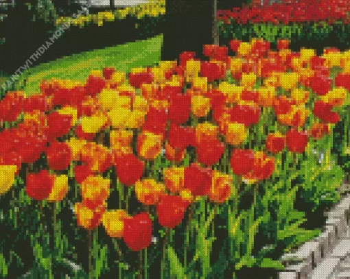 Darwin Hybrid Tulip Flowers Diamond Painting