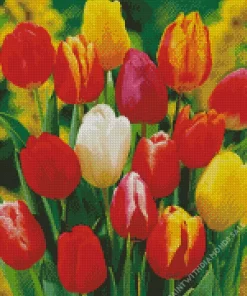 Darwin Hybrid Tulips Diamond Painting