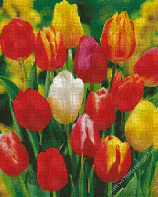 Darwin Hybrid Tulips Diamond Painting