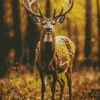 Deer In Autumn Diamond Painting