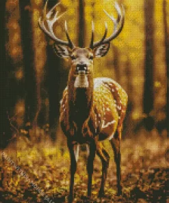 Deer In Autumn Diamond Painting