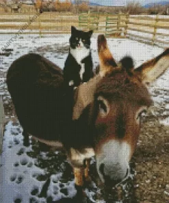 Donkey And Cat Diamond Painting