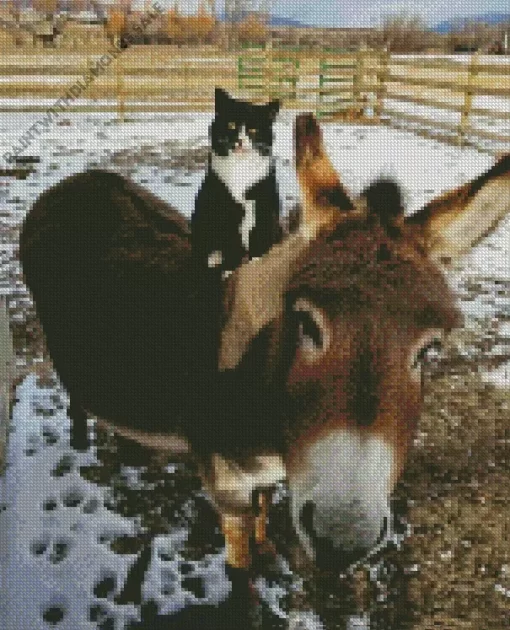 Donkey And Cat Diamond Painting