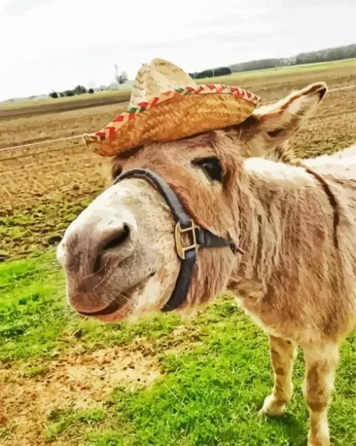 Donkey In Hat Diamond Painting