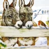 Donkeys And Robin Diamond Painting