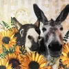 Donkeys And Sunflowers Diamond Painting