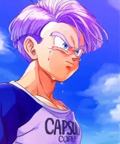 Dragon Ball Trunks Diamond Paintings