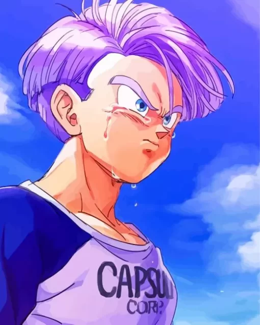 Dragon Ball Trunks Diamond Paintings