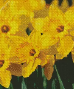 Dutch Master Daffodils Bulbs Diamond Painting