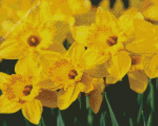 Dutch Master Daffodils Bulbs Diamond Painting