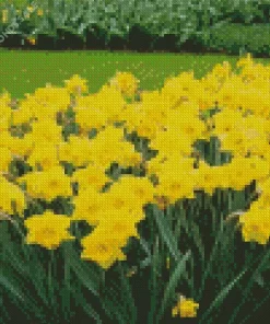 Dutch Master Daffodils Diamond Painting