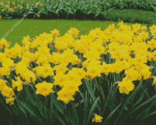 Dutch Master Daffodils Diamond Painting