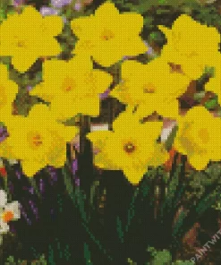 Dutch Master Daffodils Flower Diamond Painting