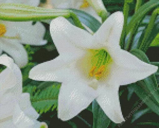 Easter Lilies Diamond Painting