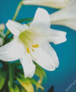 Easter Lilies Close Up Diamond Painting