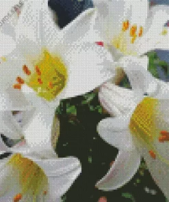 Easter Lilies Flowers Diamond Painting