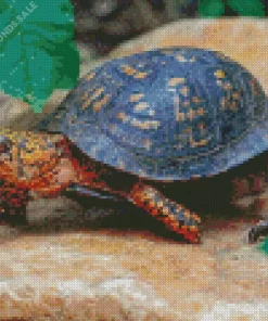 Eastern Box Turtle Diamond Painting