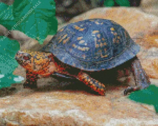 Eastern Box Turtle Diamond Painting