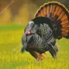 Eastern Wild Turkey Bird Diamond Painting