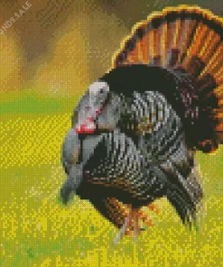 Eastern Wild Turkey Bird Diamond Painting