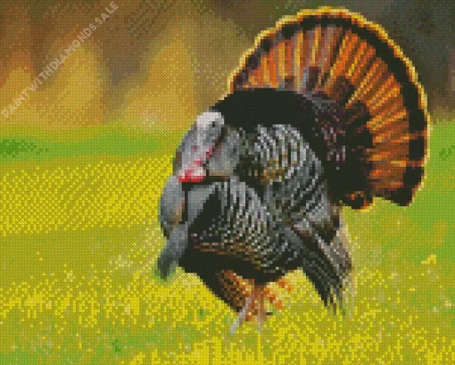 Eastern Wild Turkey Bird Diamond Painting