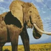 Elephant Diamond Painting