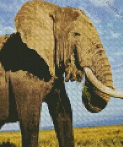 Elephant Diamond Painting