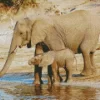 Elephant And Baby Diamond Painting