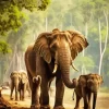 Elephants Family Diamond Painting