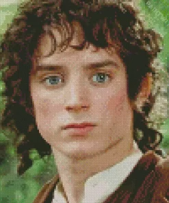 Elijah Wood The Lord Of The Rings Diamond Painting