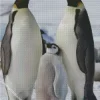 Emperor Penguins Diamond Painting