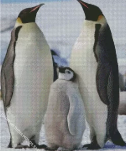 Emperor Penguins Diamond Painting