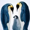 Emperor Penguins Bird Diamond Painting