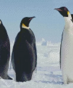 Emperor Penguins Birds Diamond Painting