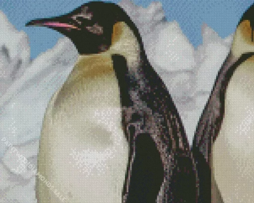 Emperor Penguins Close Up Diamond Painting