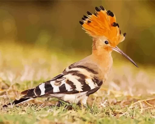 Eurasian Hoopoe Diamond Painting