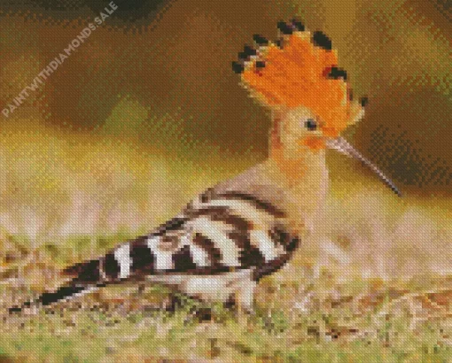 Eurasian Hoopoe Diamond Painting