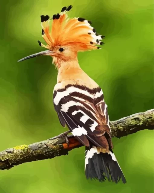 Eurasian Hoopoe Bird Diamond Painting