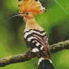 Eurasian Hoopoe Bird Diamond Painting