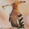 Eurasian Hoopoe Close Up Diamond Painting