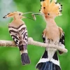 Eurasian Hoopoe Pair Diamond Painting