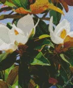 Evergreen Magnolia Flower Diamond Painting